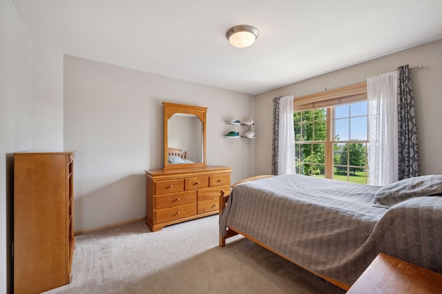 18810 65th Pl N, Maple Grove, MN 55311 - photo 34