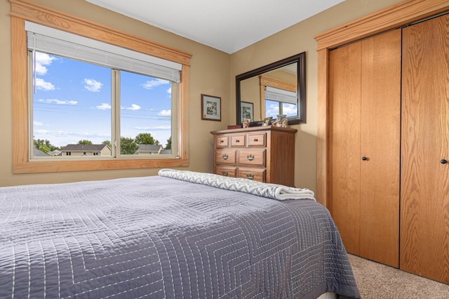 10002 Weston Dr, Monticello, MN 55362 - photo 22