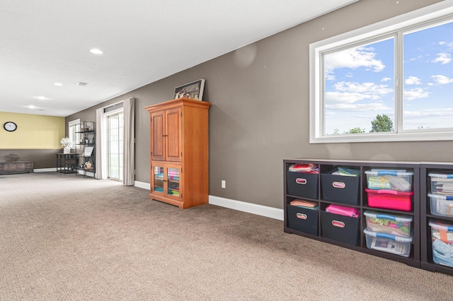 10002 Weston Dr, Monticello, MN 55362 - photo 26