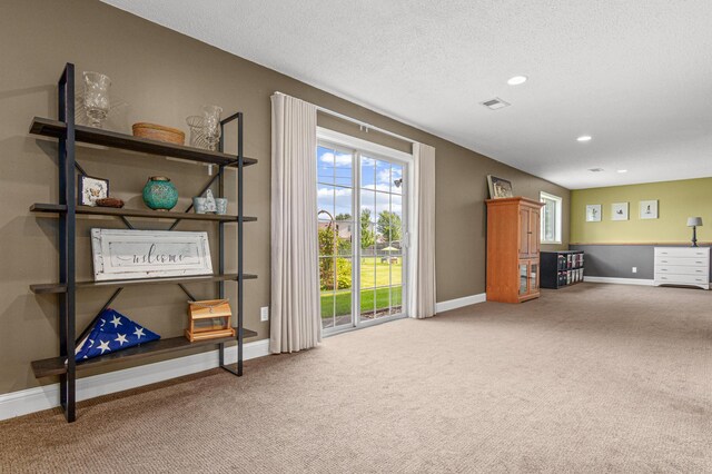 10002 Weston Dr, Monticello, MN 55362 - photo 29