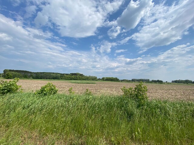 TBD Legend St, Mora, MN 55051 - photo 15