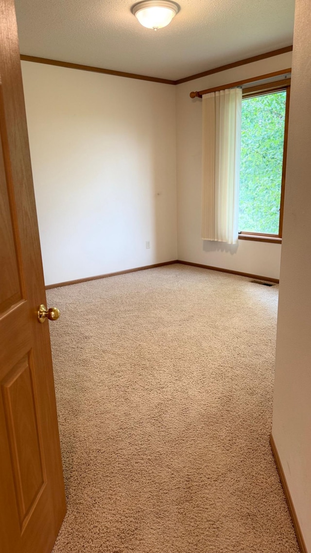 1017 Clausen Ave SW, Bemidji, MN 56601 - photo 12
