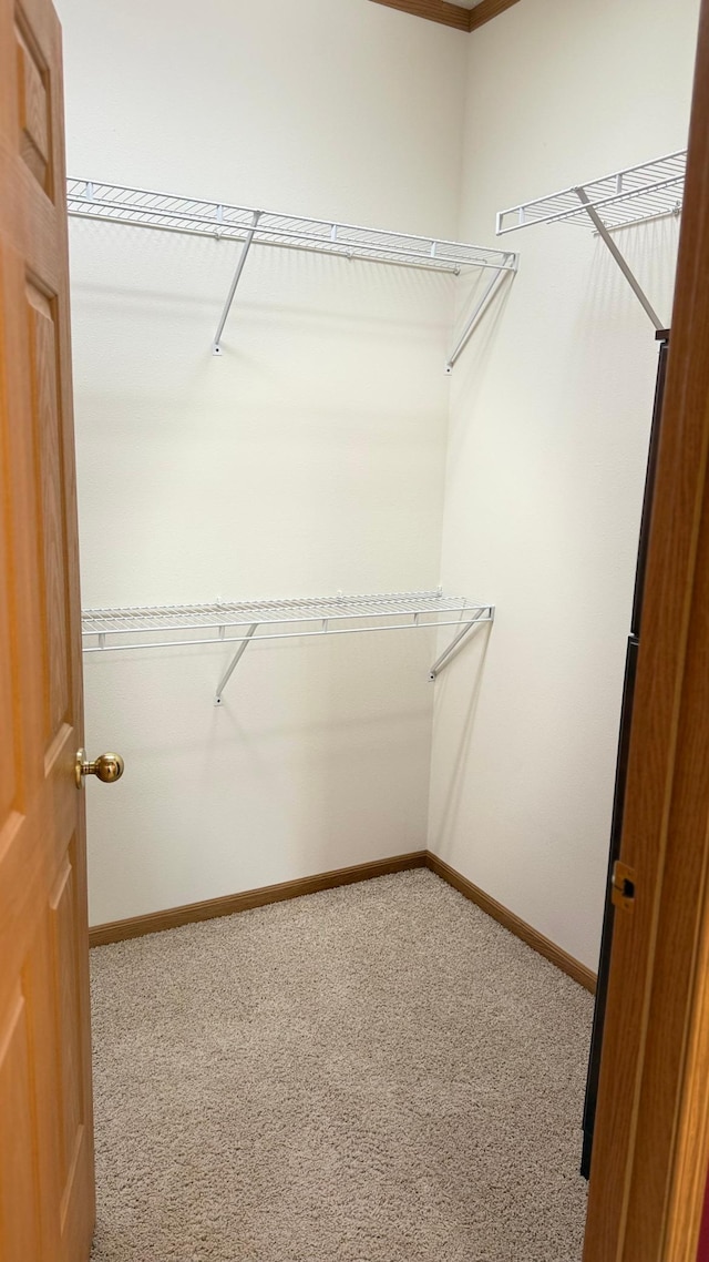 1017 Clausen Ave SW, Bemidji, MN 56601 - photo 15