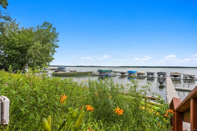 6751 State Highway 114 SW Unit 14, Alexandria, MN 56308 - photo 55