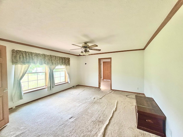 35836 Fox Rd, Hinckley Twp, MN 55037 - photo 10