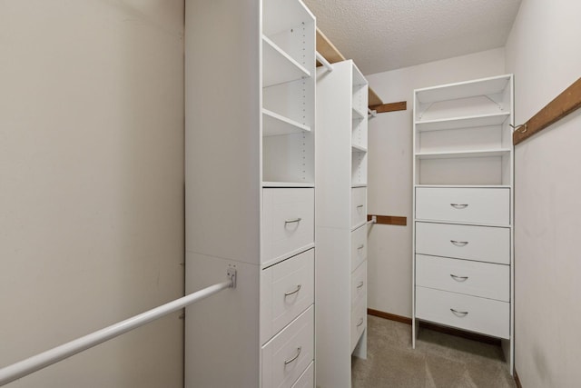 4363 Hamilton Dr, Eagan, MN 55123 - photo 12
