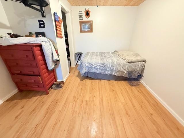 24651 Beltrami Line Rd, Bemidji, MN 56601 - photo 29