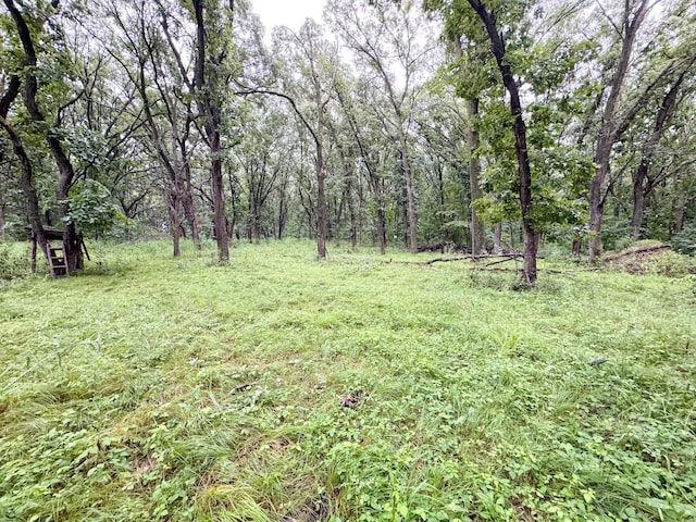 40112 244th St, Battle Lake, MN 56515 - photo 44
