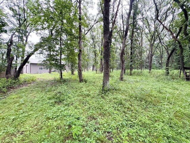 40112 244th St, Battle Lake, MN 56515 - photo 45