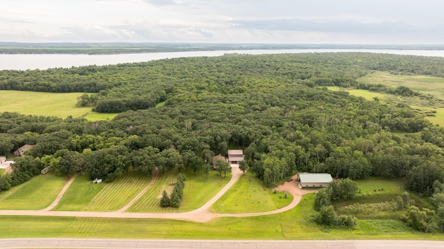 40112 244th St, Battle Lake, MN 56515 - photo 52
