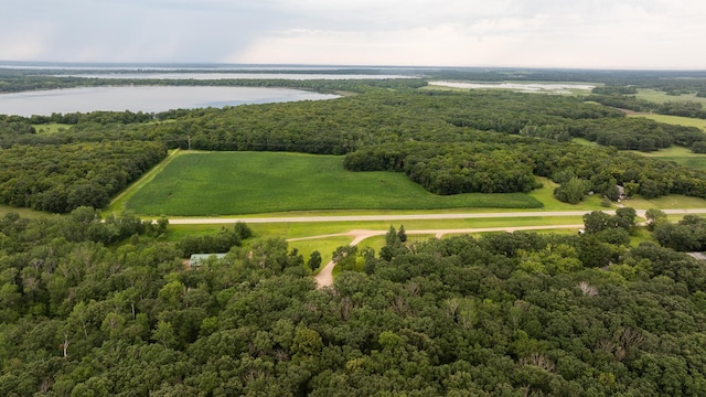 40112 244th St, Battle Lake, MN 56515 - photo 55