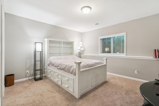 891 Cascade Dr, Chaska, MN 55318 - photo 20