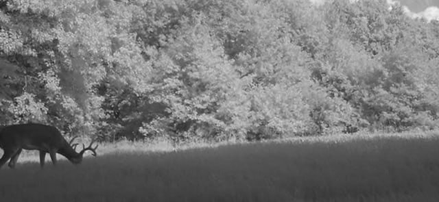 TBD County Rd W, Ruby Twp, WI 54745 - photo 13