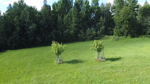 TBD County Rd W, Ruby Twp, WI 54745 - photo 15