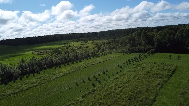 TBD County Rd W, Ruby Twp, WI 54745 - photo 18