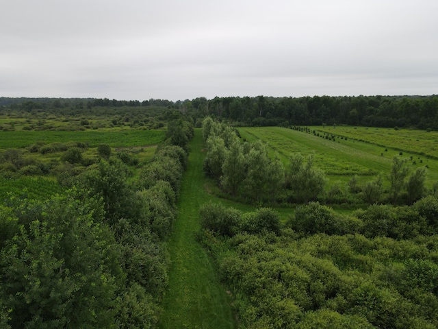 TBD County Rd W, Ruby Twp, WI 54745 - photo 2