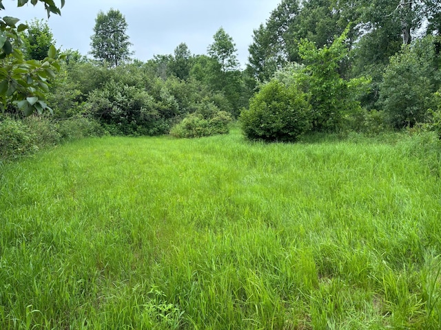 TBD County Rd W, Ruby Twp, WI 54745 - photo 8