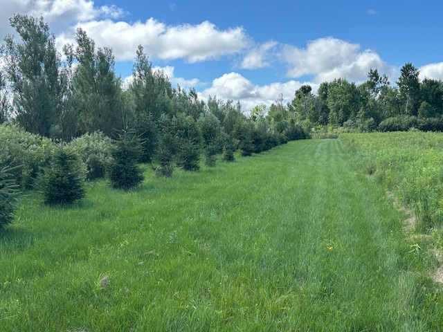 TBD County Rd W, Ruby Twp, WI 54745 - photo 11