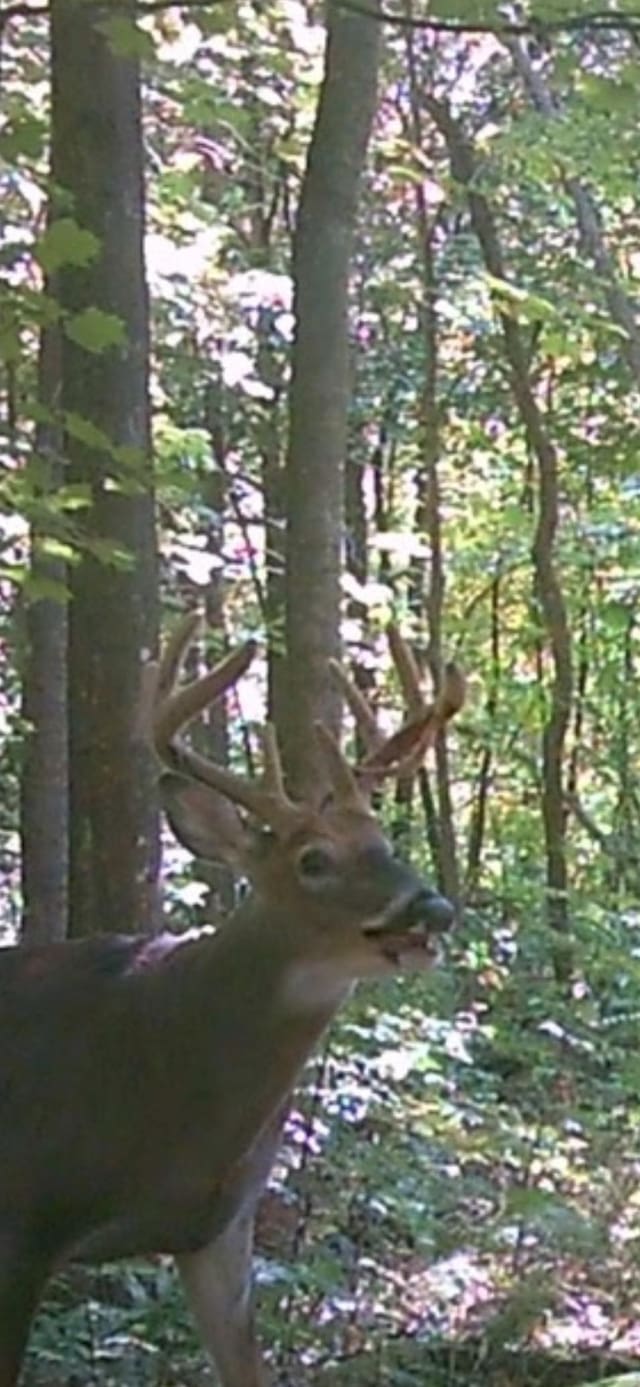 TBD County Rd W, Ruby Twp, WI 54745 - photo 16