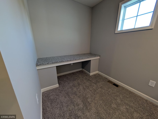 6809 104th St S, Cottage Grove, MN 55016 - photo 8