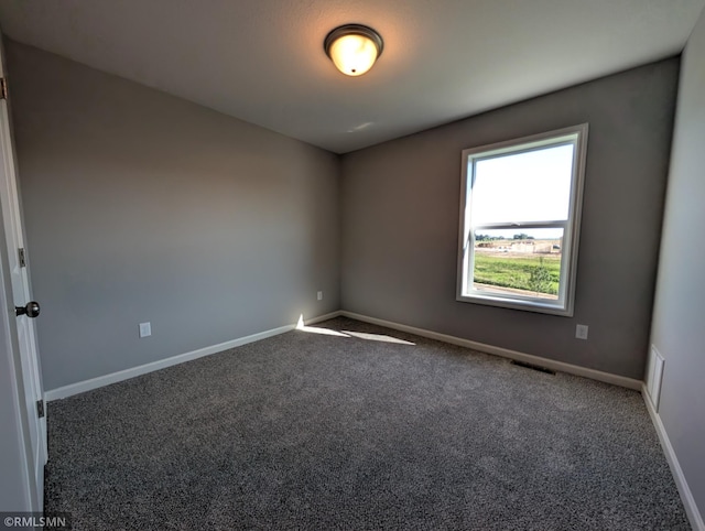 6809 104th St S, Cottage Grove, MN 55016 - photo 13