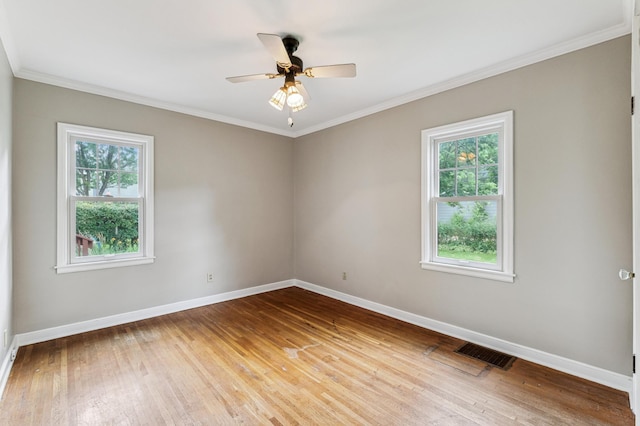 3921 Quail Ave N, Robbinsdale, MN 55422 - photo 9