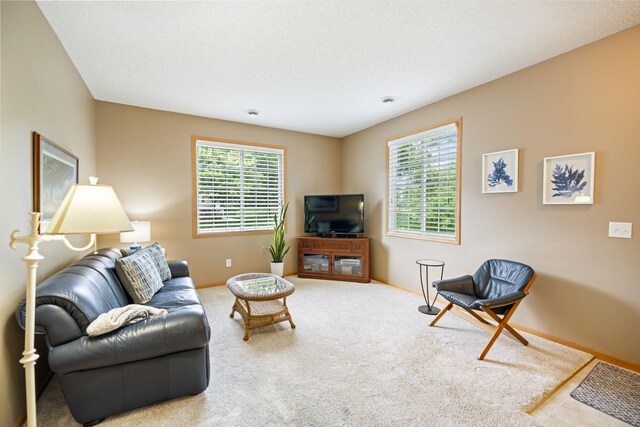 13425 Europa Ct N Unit 8, Hugo, MN 55038 - photo 9