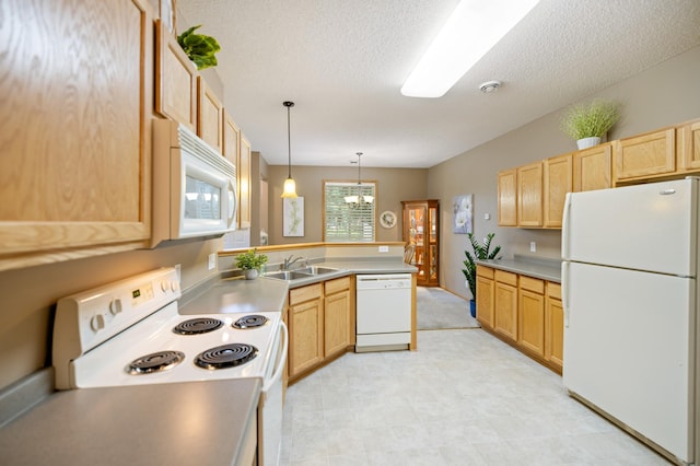 13425 Europa Ct N Unit 8, Hugo, MN 55038 - photo 13