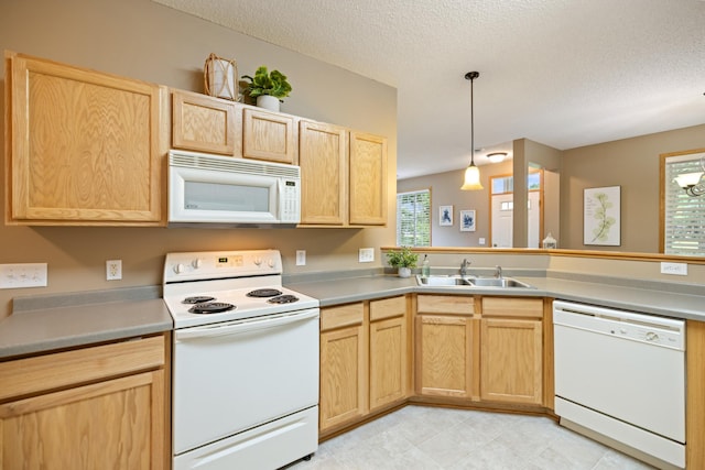13425 Europa Ct N Unit 8, Hugo, MN 55038 - photo 14