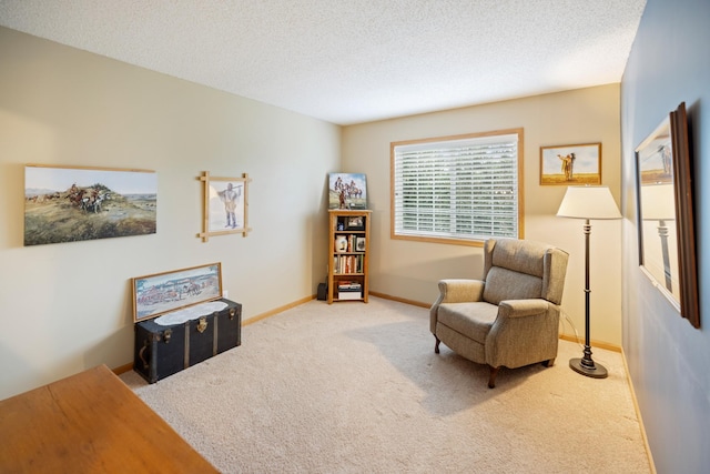 13425 Europa Ct N Unit 8, Hugo, MN 55038 - photo 17