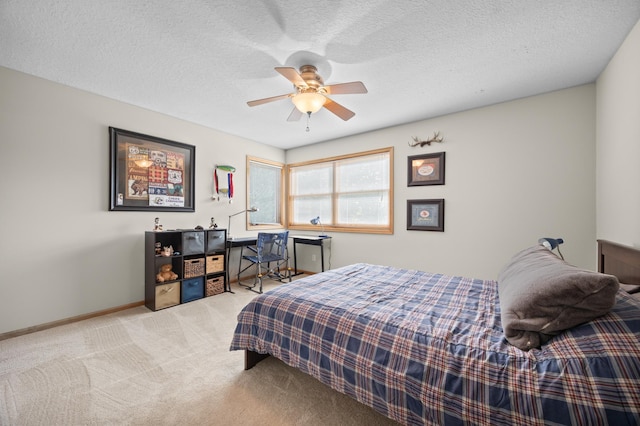 8787 Ridge Ponds Ln, Victoria, MN 55386 - photo 16