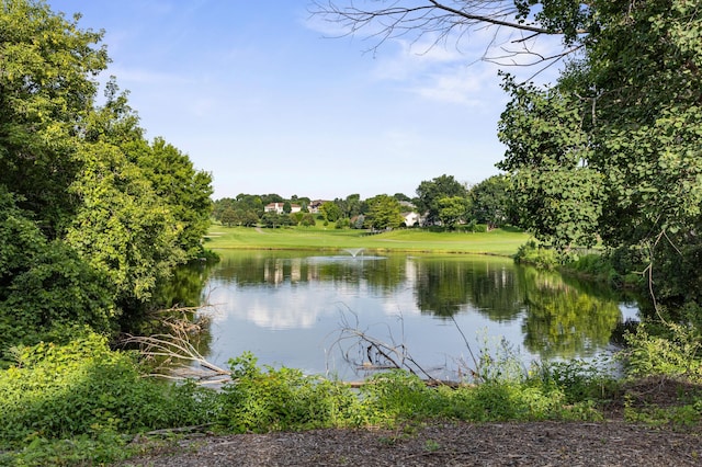 8787 Ridge Ponds Ln, Victoria, MN 55386 - photo 32