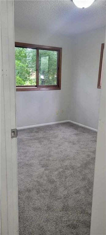 4304 28th St, Saint Louis Park, MN 55416 - photo 31