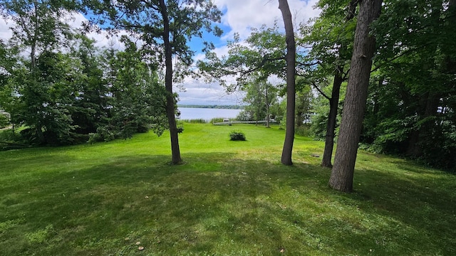 10251 County Road 127, Nisswa, MN 56468 - photo 35