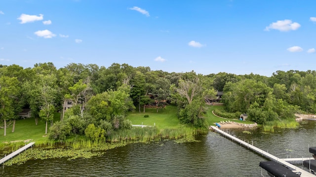 10251 County Road 127, Nisswa, MN 56468 - photo 37