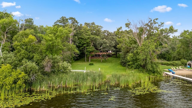 10251 County Road 127, Nisswa, MN 56468 - photo 21