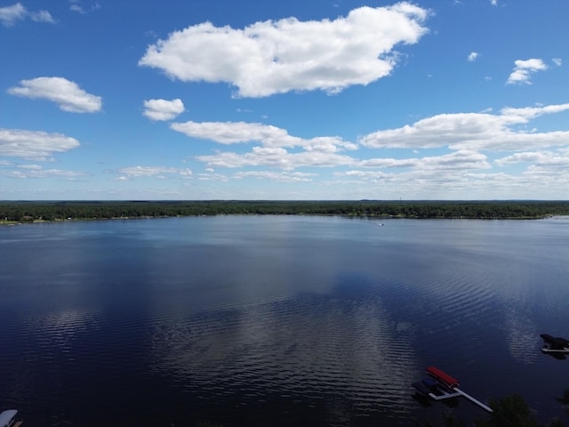 10251 County Road 127, Nisswa, MN 56468 - photo 30