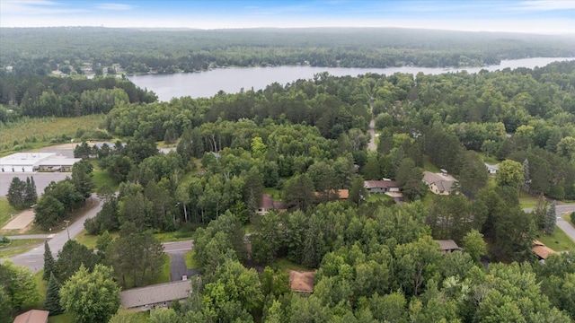 7740 Ely Lake Dr, Eveleth, MN 55734 - photo 30