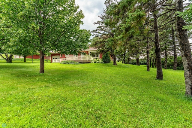 17837 County Highway 1, Buse Twp, MN 56537 - photo 5