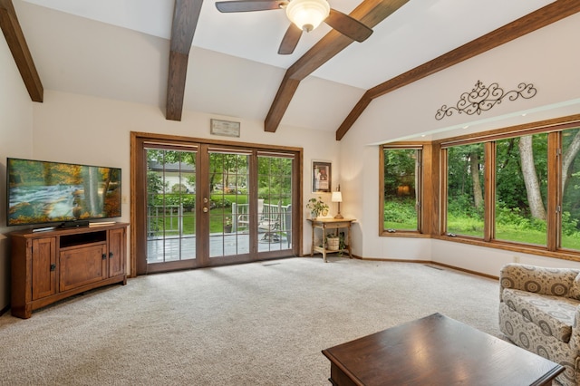 1630 18th Ave NW, New Brighton, MN 55112 - photo 11