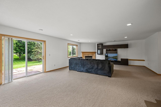 10020 Butternut Ave N, Brooklyn Park, MN 55443 - photo 23