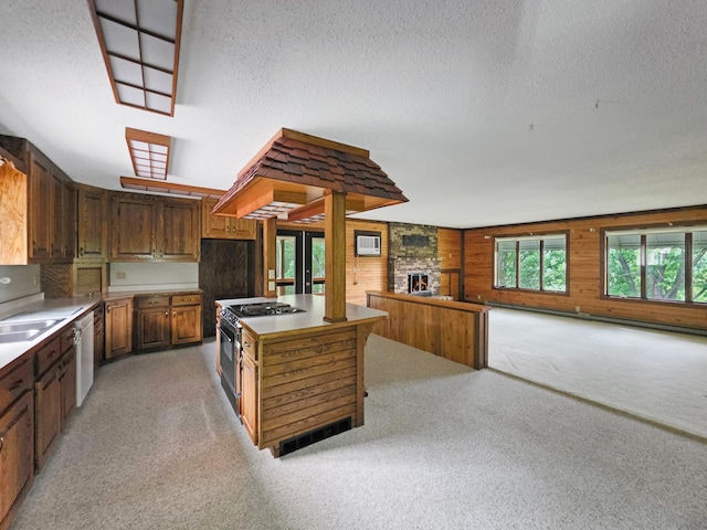 6901 39th St NW, Akeley, MN 56433 - photo 14