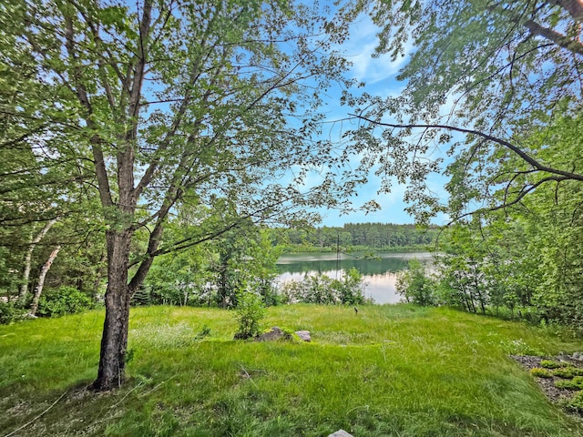 6901 39th St NW, Akeley, MN 56433 - photo 32