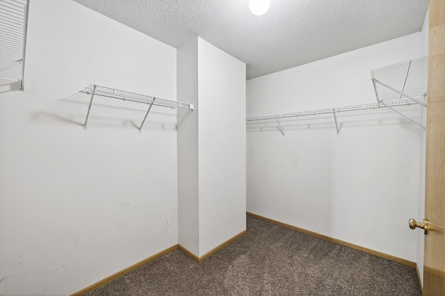 3590 Genevieve Ave N, Oakdale, MN 55128 - photo 23