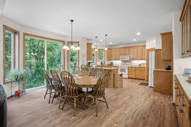 824 Bridle Creek Ln, Jordan, MN 55352 - photo 10