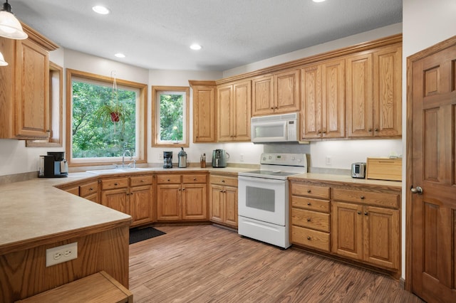 824 Bridle Creek Ln, Jordan, MN 55352 - photo 11