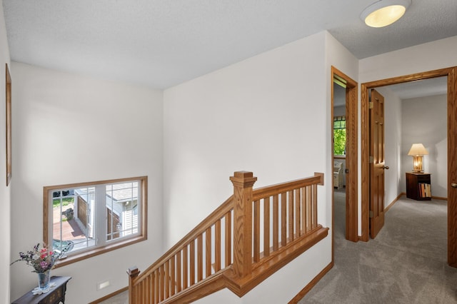 824 Bridle Creek Ln, Jordan, MN 55352 - photo 16
