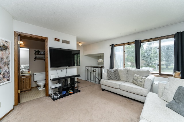 4310 13th Ave NW, Rochester, MN 55901 - photo 4