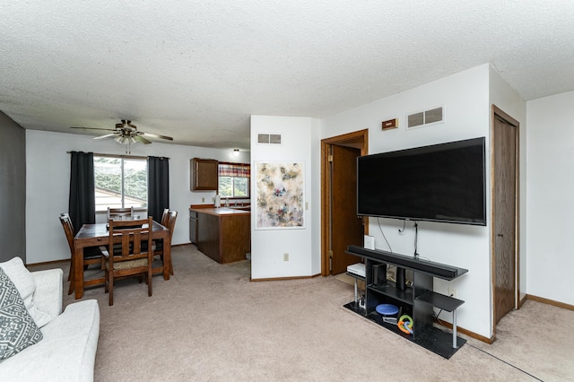 4310 13th Ave NW, Rochester, MN 55901 - photo 5