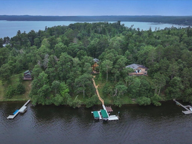 10960 Pine Beach Peninsula Rd, East Gull Lake, MN 56401 - photo 4